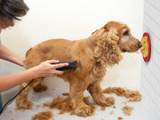 Dog Lick Pad - Pet Fun & Anxiety Distraction Device - Peanut Butter Licking Pad Works as Slow Feeder Treat Bowl - Suction Cups Attach to Wall for Bathing & Grooming Pets - Puzzle Training Toy