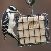 More Birds Suet Cage Bird Feeder, Fruit and Suet Feeder, Single Cake Capacity ,Black