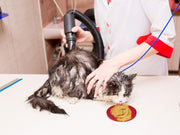 Dog Lick Pad - Pet Fun & Anxiety Distraction Device - Peanut Butter Licking Pad Works as Slow Feeder Treat Bowl - Suction Cups Attach to Wall for Bathing & Grooming Pets - Puzzle Training Toy