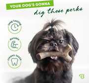 Maplestick Real Wood Durable Dog Chew Toy, Made in USA, Large