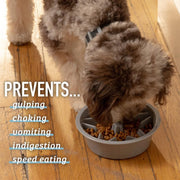 Slow Feeder Dog Bowls - 2 Cup, Gray Star Maze - Slow Feeder Insert - Non-Slip Base